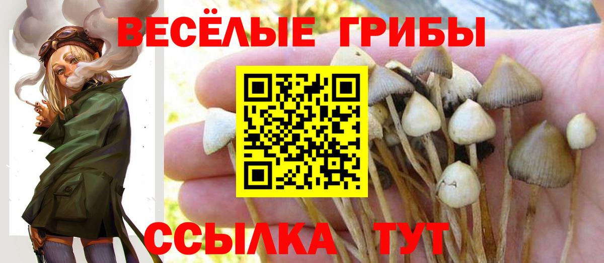 где купить наркотик  Вход с VPN  Будённовск  Псилоцибиновые грибы мухоморы 