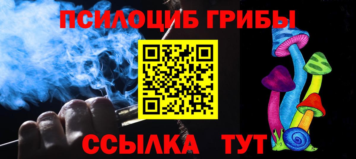 Псилоцибиновые грибы мицелий Будённовск